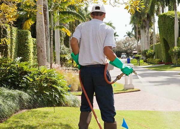 About Wilmore KS Pest Control